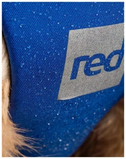 Red Paddle Co. Red Paddle Co Dog Buoyancy Aid 24 Red Paddle Co. Red Paddle Co Dog Buoyancy Aid -Sports Nautiques Boutique red paddle co dog buoyancy aid blue xs 330 480 mm blue 7