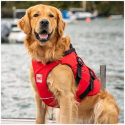 Red Paddle Co. Red Paddle Co Dog Buoyancy Aid 16 Red Paddle Co. Red Paddle Co Dog Buoyancy Aid -Sports Nautiques Boutique red paddle co dog buoyancy aid xs 330 480 mm red 2