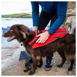 Red Paddle Co. Red Paddle Co Dog Buoyancy Aid 17 Red Paddle Co. Red Paddle Co Dog Buoyancy Aid -Sports Nautiques Boutique red paddle co dog buoyancy aid xs 330 480 mm red 3