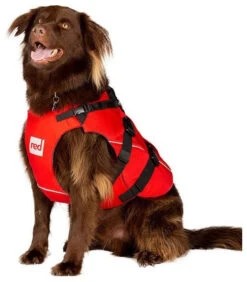 Red Paddle Co. Red Paddle Co Dog Buoyancy Aid 18 Red Paddle Co. Red Paddle Co Dog Buoyancy Aid -Sports Nautiques Boutique red paddle co dog buoyancy aid xs 330 480 mm red 4